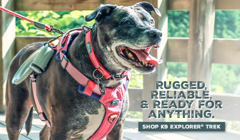 A black dog wearing pink collar, leash, and harness with grey bowl and light/waste bag combo hanging from the harness stands on a rocky ledge overlooking a river. The background features lush green trees and the river flowing below. Text on the left side of the image reads, 'RUGGED, RELIABLE, & READY FOR ANYTHING. SHOP K9 EXPLORER® TREK.'