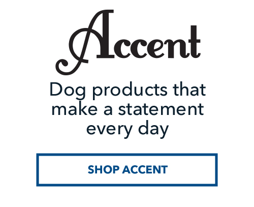 Accent