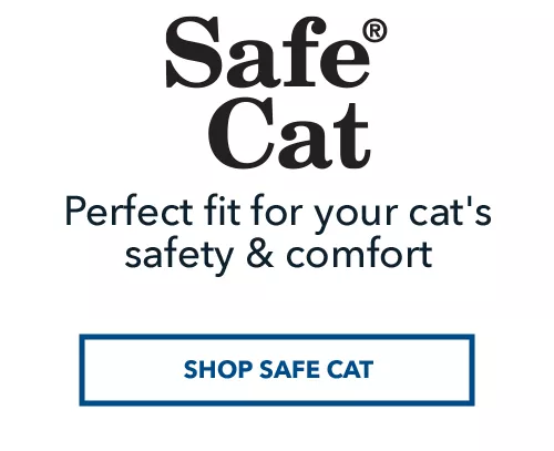 Safe Cat