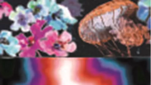 Sublime® Adjustable Dog Collar Product image