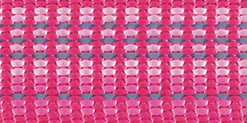 K9 Explorer® Brights Reflective Dog Leash Product image