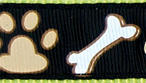 Ribbon Dog Leash Product image