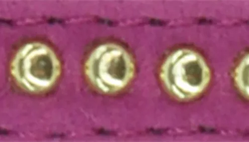 Li'l Pals® by Coastal® Posh B'Dazzled Velvet Dog Collar Product image