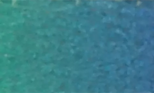 Li'l Pals® Adjustable Patterned Dog Collar Product image